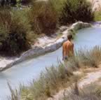 I canali di Saturnia (45kb)